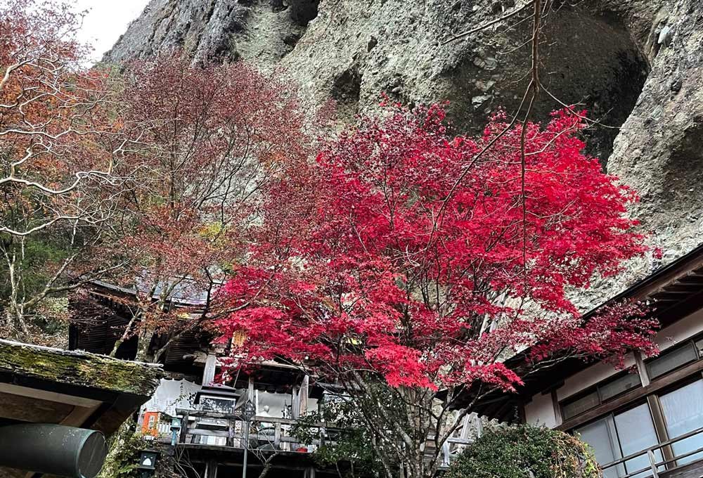 🌳 카쿠린지 공원 이미지 4